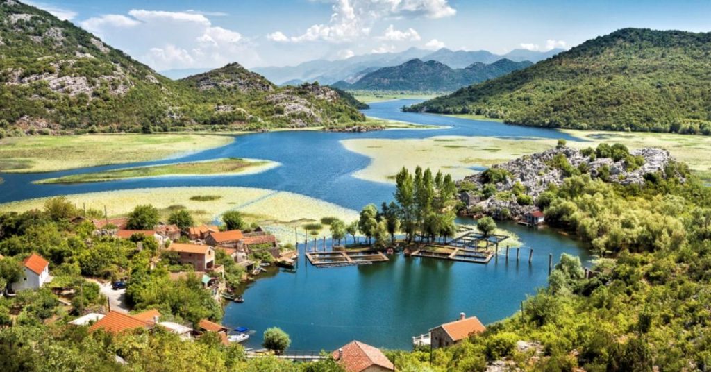 Скадарське озеро чорногорія куди поїхати туристичні місця