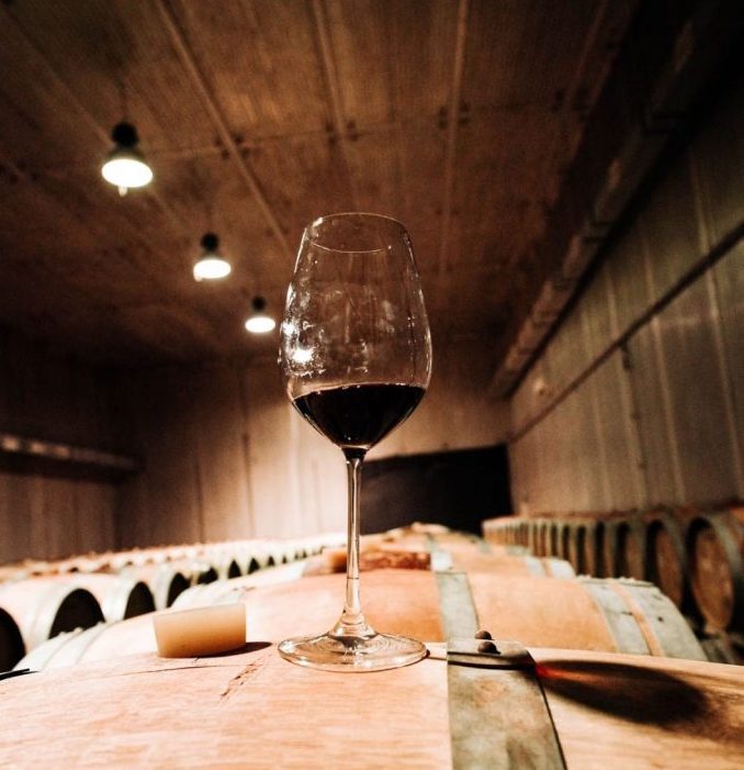 виноробні закарпаття які можна відвідати з екскурсією вина Cotnar